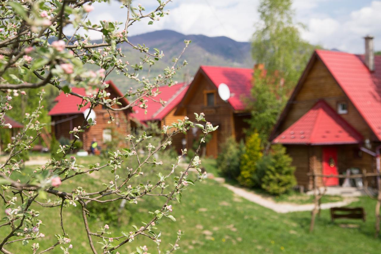 Teremok Guest House Vyshka Esterno foto