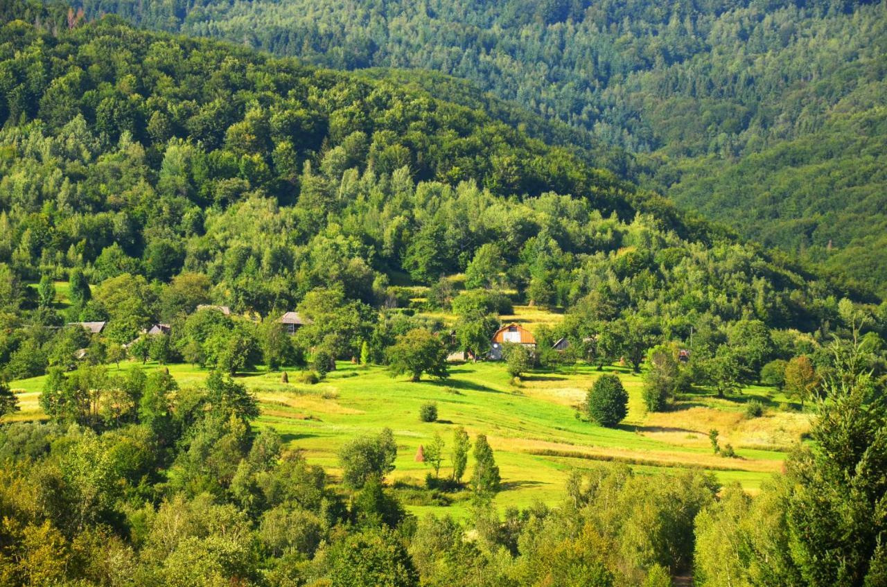 Teremok Guest House Vyshka Esterno foto